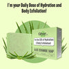GHAR SOAPS Aloe Ceramide Soap For Hydration - 100 g