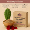 Ghar Soaps Mitti Soap